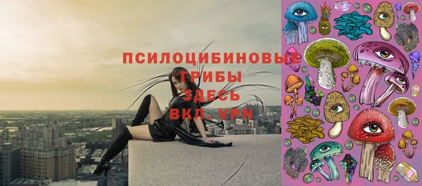 прущая мука Бугульма